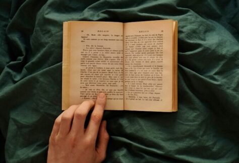 person holding brown book on green textile