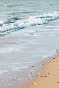 people on beach during daytime