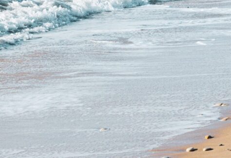 people on beach during daytime