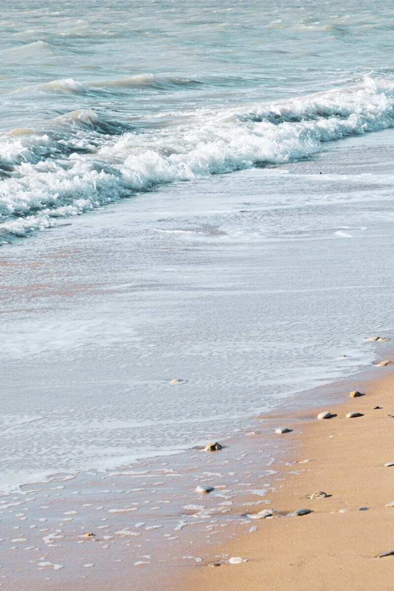 people on beach during daytime