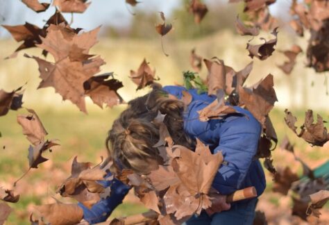 a little girl playing in a pile of leaves